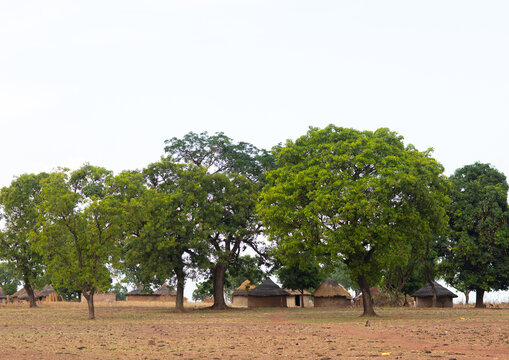 Huts in a Peul tribe village, Savanes district, Boundiali, Ivory Coast