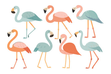 Obraz premium Tropical Flamingo Collection: An exquisite illustration featuring a collection of vibrant flamingo species standing elegantly, painted with an artistic touch.