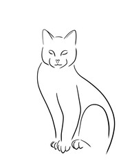 vector illustration of a cat