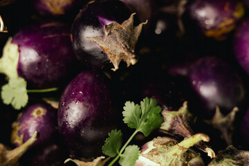 Fresh vegetables at small local urban market. Organic produce on sale at outdoor farmer market....