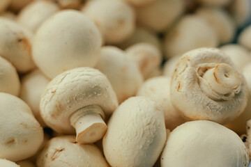 Fresh mushrooms, champignons at small local urban market. Organic produce on sale at outdoor farmer...