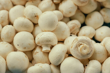 Fresh mushrooms, champignons at small local urban market. Organic produce on sale at outdoor farmer market. Selling fresh crops and veggies harvest. European urban setting. Close up.
