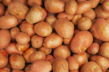 Fresh potato at small local urban market. Organic produce on sale at outdoor farmer market. Selling...