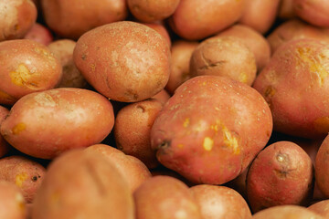 Fresh potato at small local urban market. Organic produce on sale at outdoor farmer market. Selling...
