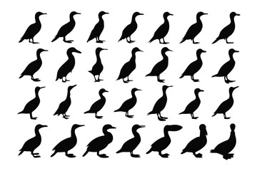 Monochrome Seabird silhouettes: An ensemble of avian silhouettes, masterfully rendered in solid black. Each bird embodies the sleek elegance of coastal denizens, arranged in a rhythmic visual dance.