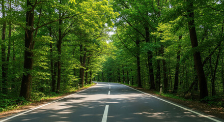 Obraz premium Sunlit forest road winding through lush green trees on a clear day