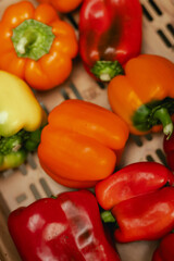 Fresh pepper at small local urban market. Organic produce on sale at outdoor farmer market. Selling fresh crops and veggies harvest. European urban setting. Close up. Part of the series