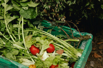 Fresh vegetables at small local urban market. Organic produce on sale at outdoor farmer market....