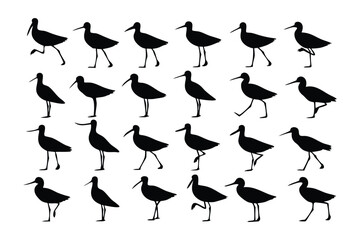 Bird silhouette movement: A collection of monochromatic silhouettes that capture the essence of a bird in various strides, emphasizing the grace and rhythm of its walk.