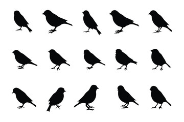 Silhouette Birds Collection: A collection of minimalistic bird silhouettes, ideal for design projects seeking a clean, aesthetic, and versatile visual asset. 