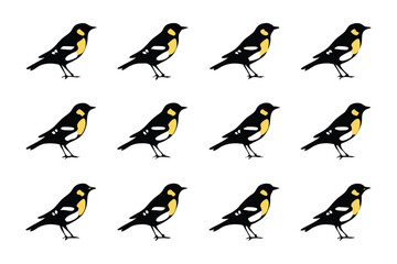 Harmony of Twelve: A dozen birds in a patterned composition, meticulously arranged, portraying a sense of orderly structure, and balanced design. 