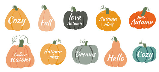 Celebrating the warmth and beauty of autumn with charming pumpkin designs decorated with uplifting autumn words