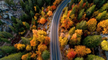 Aerial view of a winding road through vibrant autumn foliage, showcasing the beauty of seasonal change in nature.
