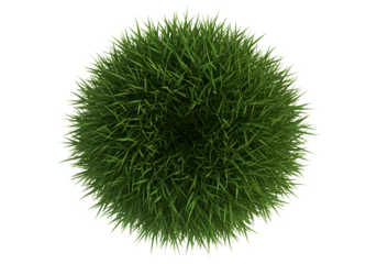 Dense Green Grass Ball Isolated on Black Background Perfect for Eco Friendly Design and Sustainable Concepts