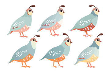 Quails in Illustration: A charming collection of vibrant quail illustrations, showcasing their unique charm, ready to bring a touch of whimsy and wildlife beauty to any creative endeavor.