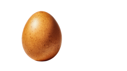 A single brown egg on a white isolate background.