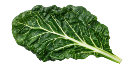 Fresh green collard leaf, white isolated background