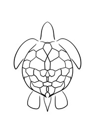 Obraz premium turtle vector illustration