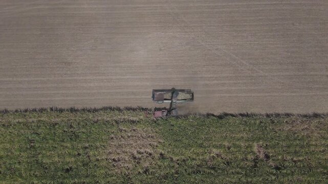 Drone footage of tractors and trucks harvest sugarcane on a farm to process it into sugar. Farming without burning