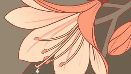 A closeup illustration of a blooming amaryllis flower with delicate petals and intricate details, showcasing its beauty and botanical elegance