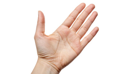 neat and clean empty hand palm isolated on transparent background	