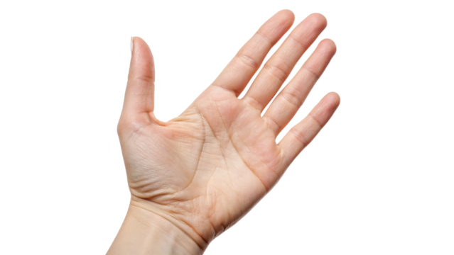 neat and clean empty hand palm isolated on transparent background	
