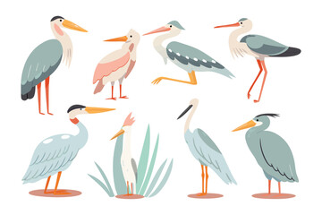 Bird Collection: A vibrant illustration showcases a diverse array of birds, each with unique feather patterns, perched gracefully against a soft, pastel background.