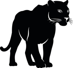 leopard animal isolated on white background wild big cat predator for wildlife and nature illustration