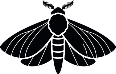 moth insect isolated on white background nocturnal flying bug for wildlife and nature illustration