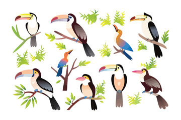 Colorful toucans: A vibrant array of illustrated toucans, each adorned with a magnificent beak and perched gracefully among foliage, forming a captivating collection of exotic birds.
