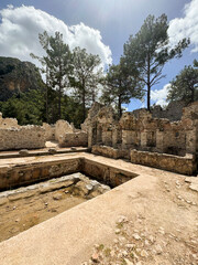 Ancient ruins nestled in a forest clearing under bright blue skies