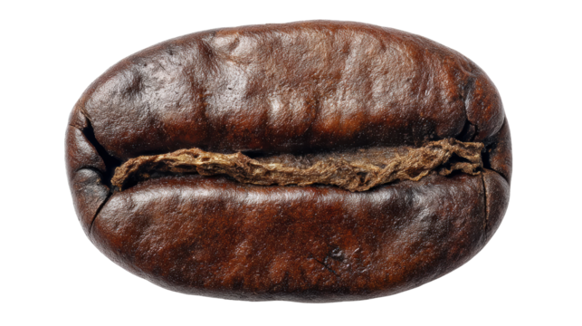 Close-up of a coffee bean on a white isolated background.