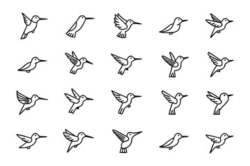 Hummingbird Avian Icons: A collection of hummingbird line art illustrations, meticulously crafted to showcase the agile movements and beauty of these birds. 