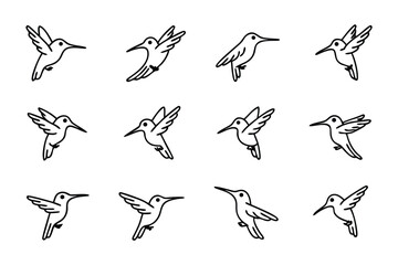 Hummingbird Sketch: A series of stylized hummingbird illustrations, each capturing a unique aspect of flight, offering a visually captivating exploration of these tiny, agile avian wonders.