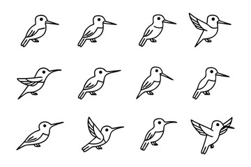 Hummingbird's Flight Cycle: A series of meticulously rendered illustrations captures the delicate dance of a hummingbird, showcasing various poses and movements of the wings 