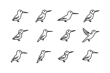 Hummingbird Silhouette Illustration Set: A collection of elegant, minimalist hummingbird silhouettes, perfect for adding a touch of natural beauty to any design. 