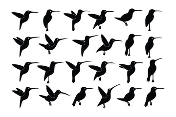 Hummingbird Silhouette Study: A detailed series of hummingbird silhouettes showcases the dynamic flight patterns of these captivating birds, offering a stark and elegant study in motion and form.