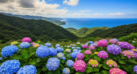 Vibrant hydrangeas bloom on a lush green hillside overlooking the ocean