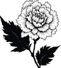 Petal Verse” – Nature's Precision & Poetic Bloom