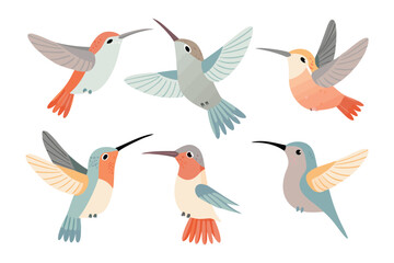 Obraz premium Hummingbird Varieties: A captivating illustration showcases a collection of vibrant hummingbirds in flight, highlighting their beauty and unique characteristics.