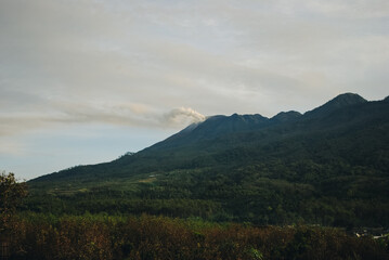 Beautiful high altitude forest mountain views