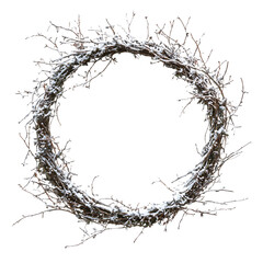 Ethereal crown of thorns made of delicate branches and twigs isolated on transparent background