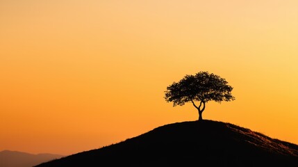 A solitary tree stands atop a hill, silhouetted against a vibrant sunset, creating a serene and tranquil landscape.