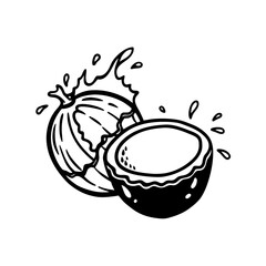 A whole coconut and a halved coconut with splashing liquid isolated on white background isolated on transparent background