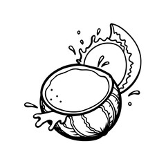 Hand drawn sketch of a cracked open coconut with splashing water isolated on white background isolated on transparent background