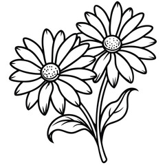 Collection of hand drawn daisy flower illustrations with modern black outline isolated on white background isolated on transparent background