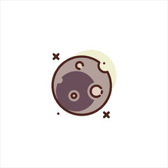 ladybug on white background