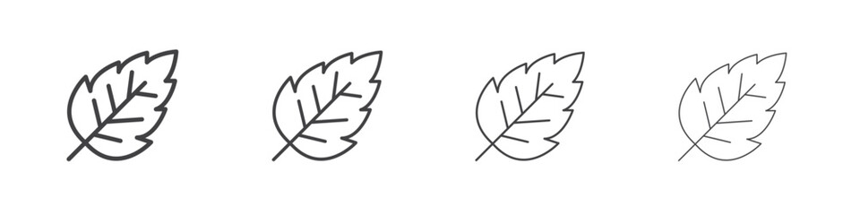 Birch leaf icon concept outline symbol design.