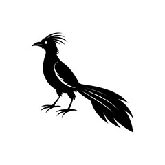 Detailed silhouette illustration of a black roadrunner bird standing alert isolated on white background isolated on transparent background