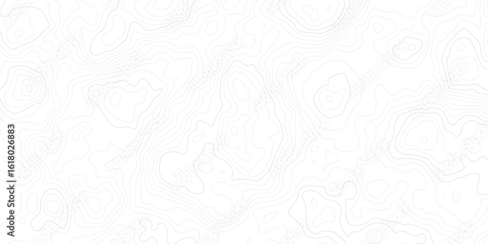 Poster minimal white topographic contour map background with soft, flowing elevation lines. perfect for geo